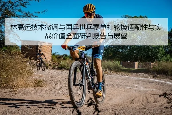 林高远技术微调与国乒世乒赛单打轮换适配性与实战价值全面研判报告与展望
